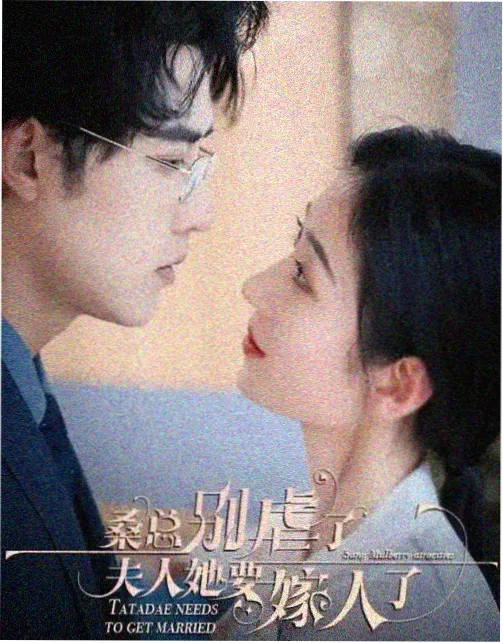剧集雾港纪事作品封面
